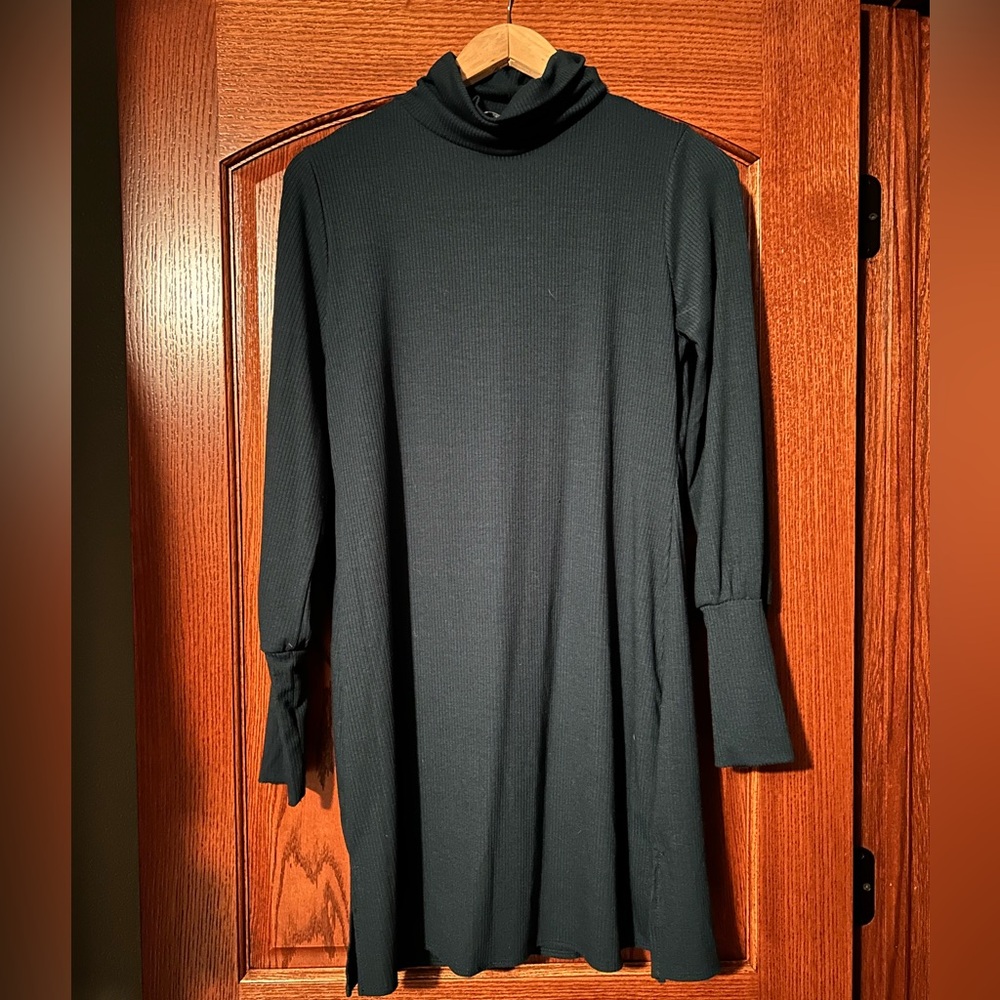 Rubbed Turtleneck Dress